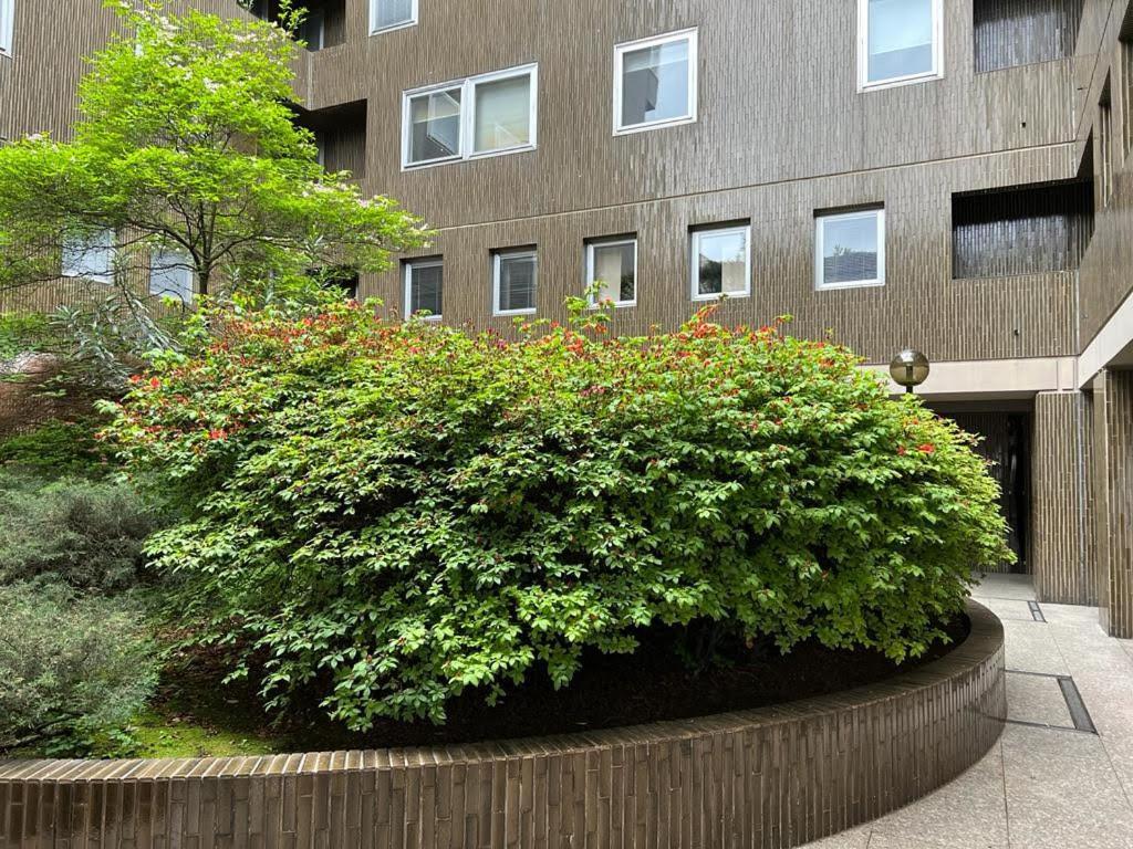 לוגאנו Residenza Palace Caffe Venezia מראה חיצוני תמונה